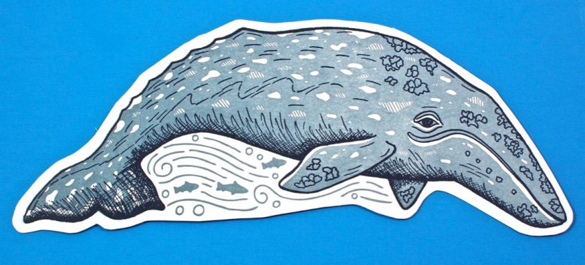having a whale of a time card