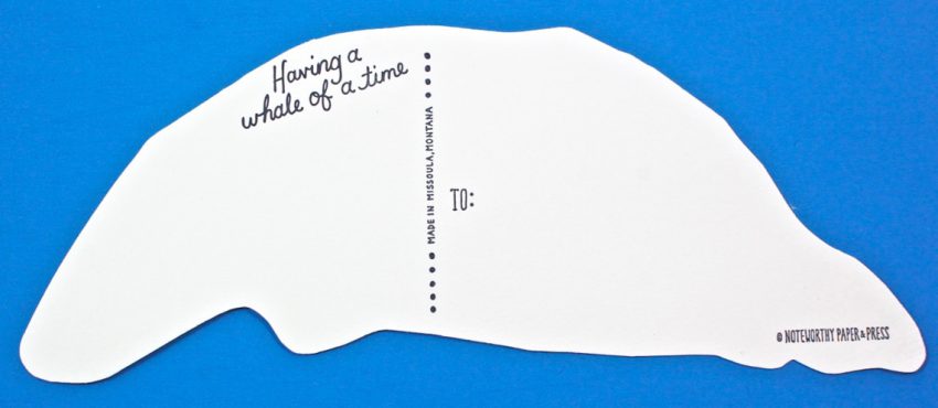whale card
