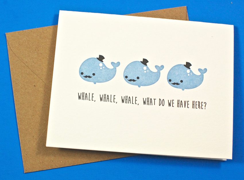 whale whale whale