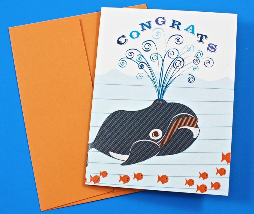 Whale, Congrats card