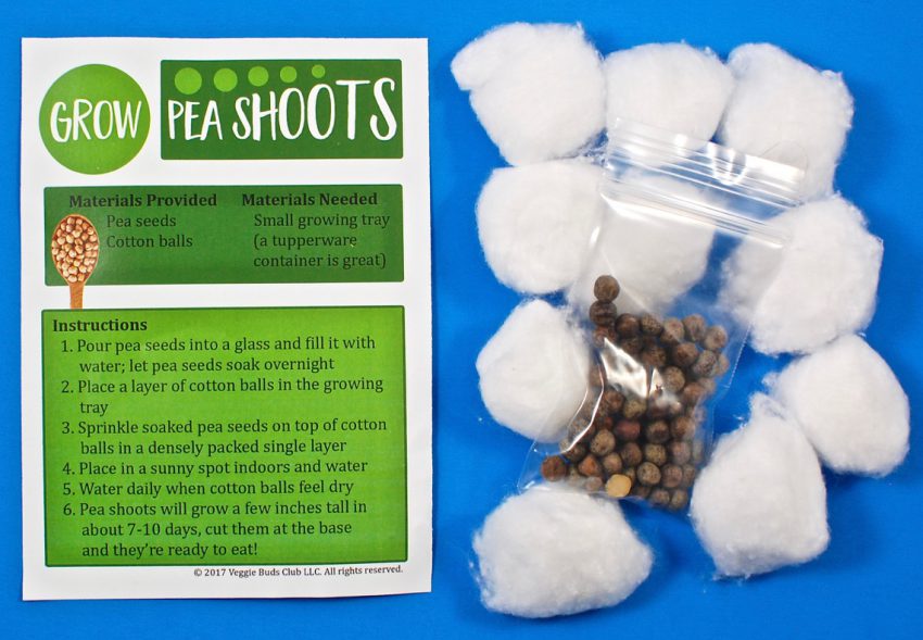 pea shoots activity