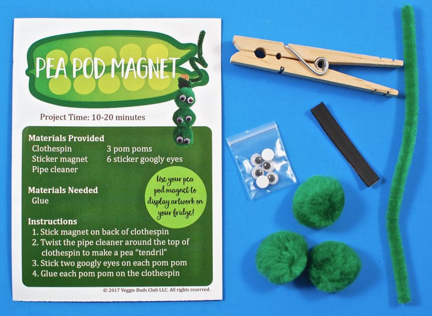 pea pod magnet