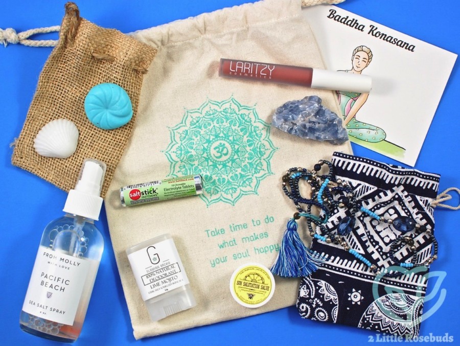 July 2017 BuddhiBox review