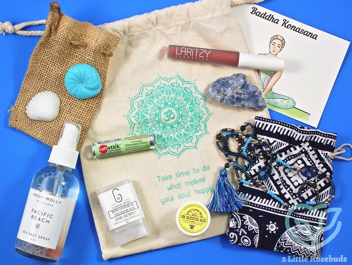 July 2017 BuddhiBox review
