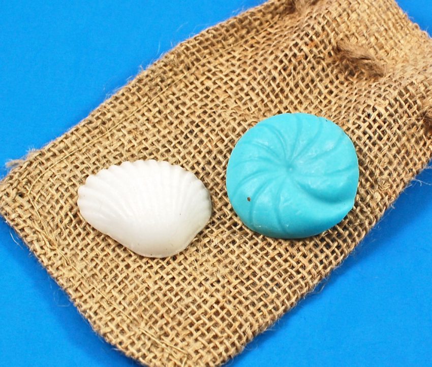 seashell soaps