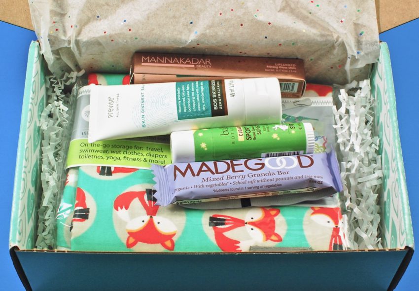 Ecocentric Mom bundle review
