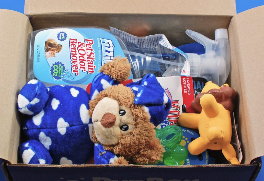 Pup Box review