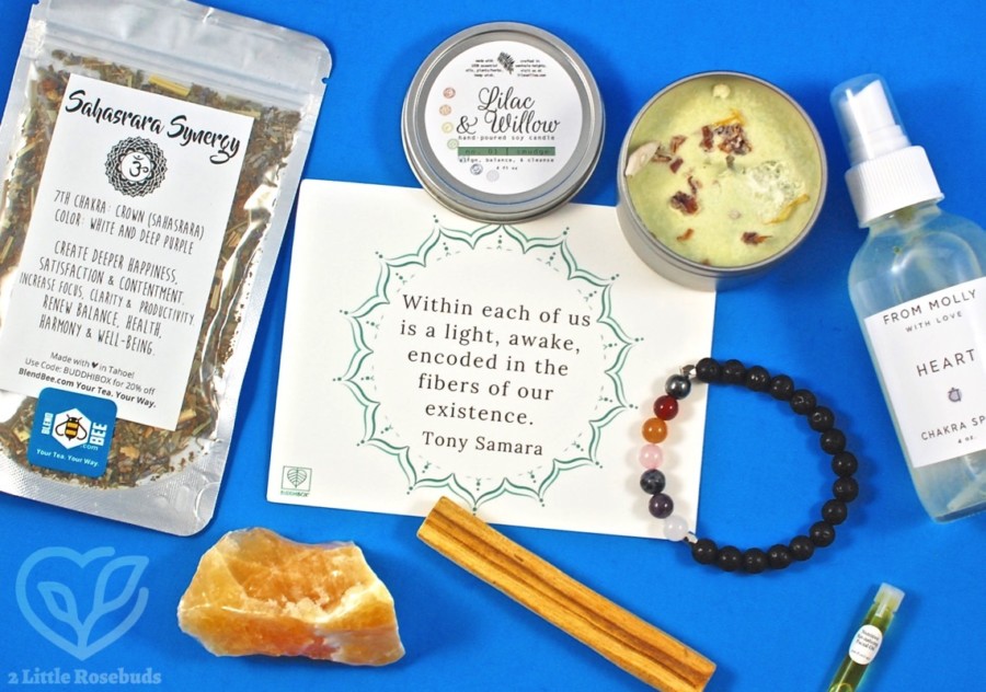 August 2017 BuddhiBox review