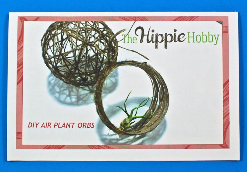 DIY air plant orbs