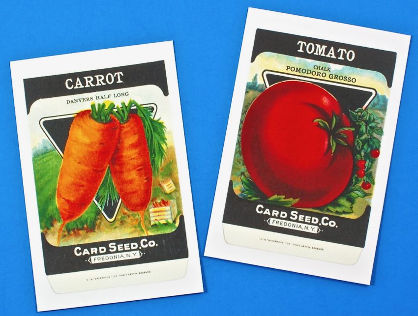 seed packet postcards