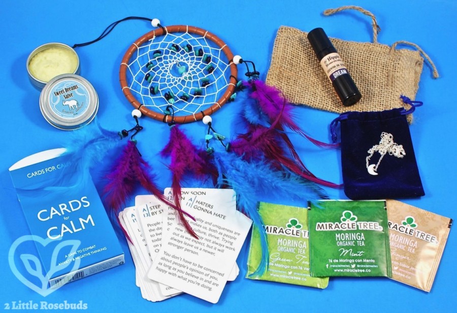 September 2017 Buddhibox review