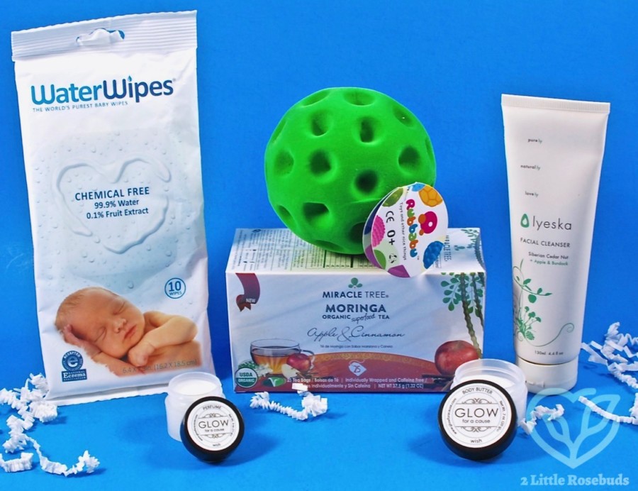 September 2017 Ecocentric Mom review