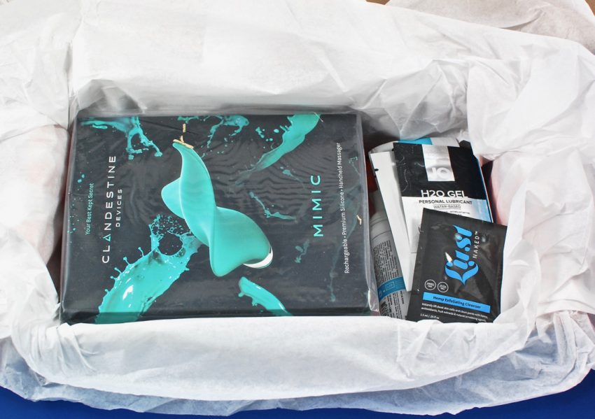 adult subscription box review