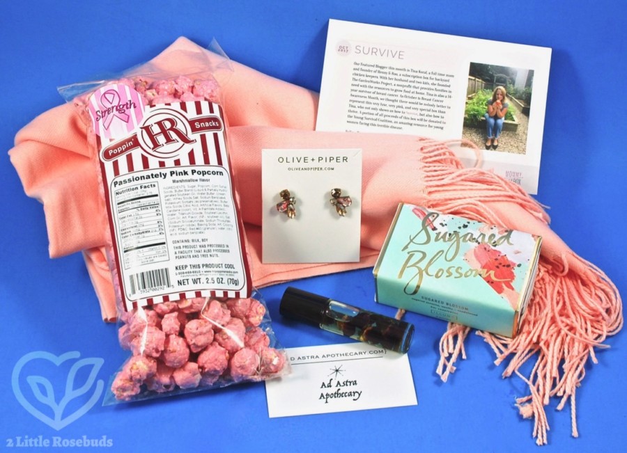 October 2017 Mommy Mailbox review