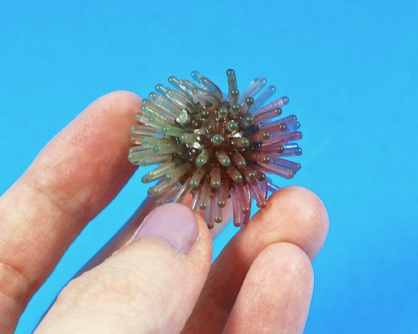 porcupine ball pencil topper