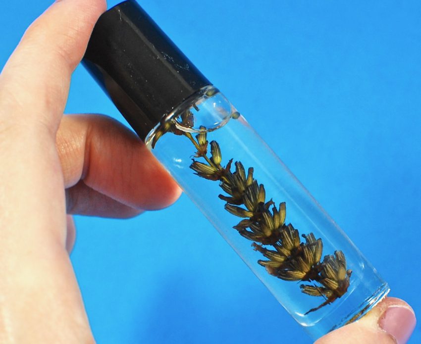 lavender essential oil