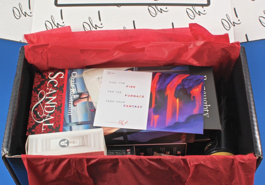 adult subscription box review