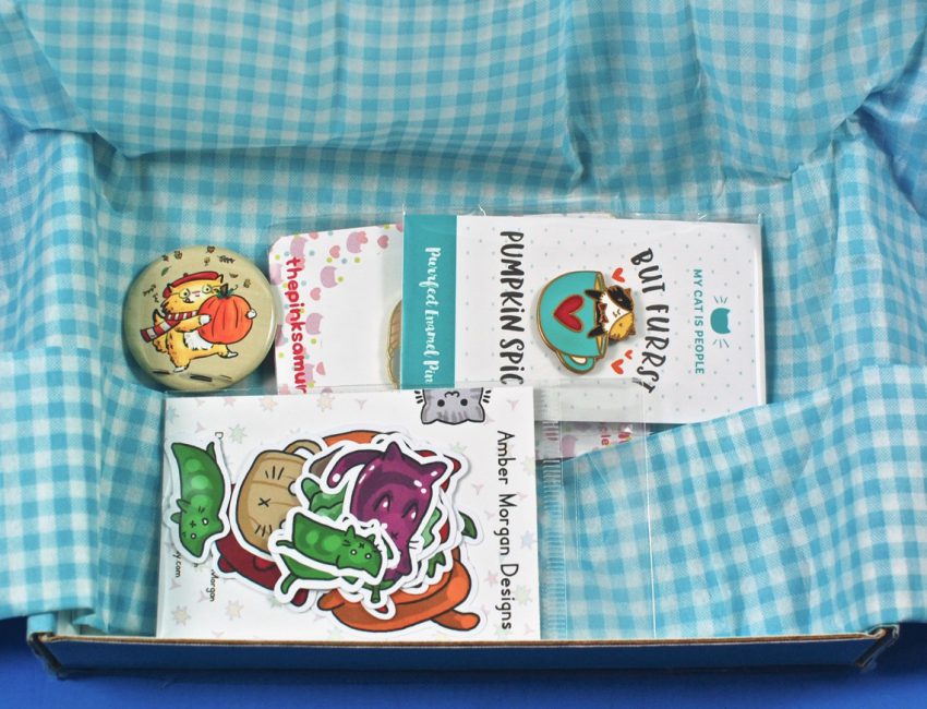 cat subscription box