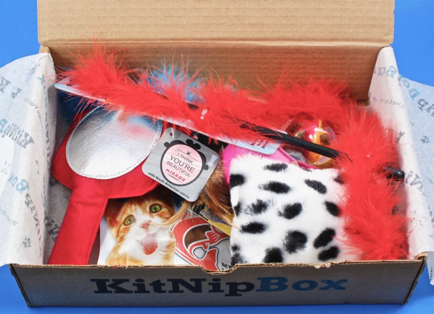 cat subscription box review