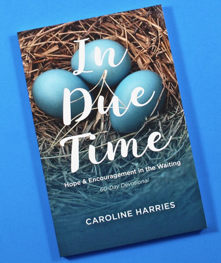 In Due Time book
