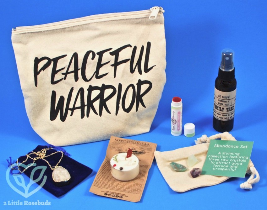 December 2017 BuddhiBox review