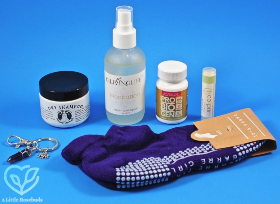 November 2017 Buddhibox review