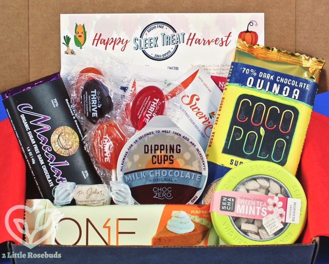 November 2017 Sleek Treat review