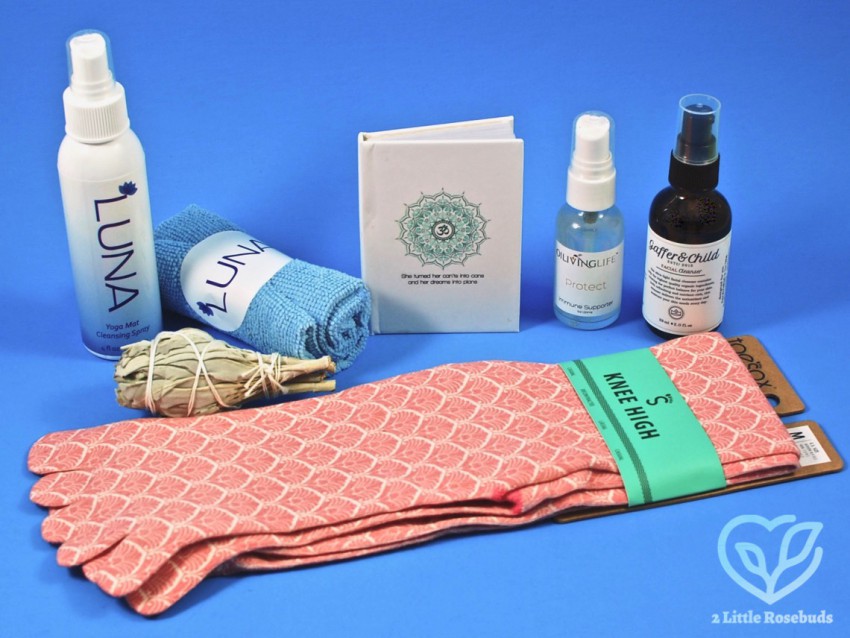 January 2018 Buddhibox review