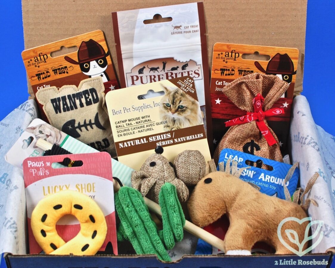 January 2018 KitNipBox review