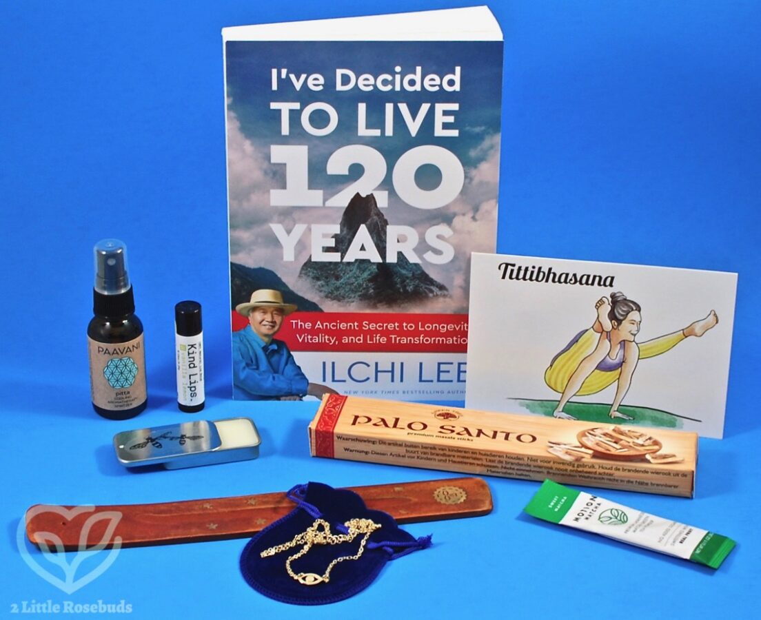 June 2018 Buddhibox review