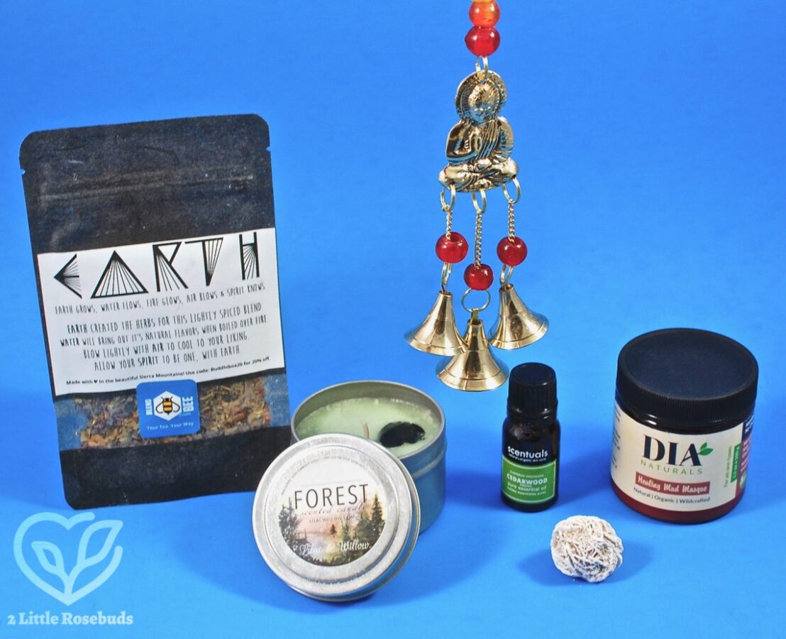 August 2018 BuddhiBox review