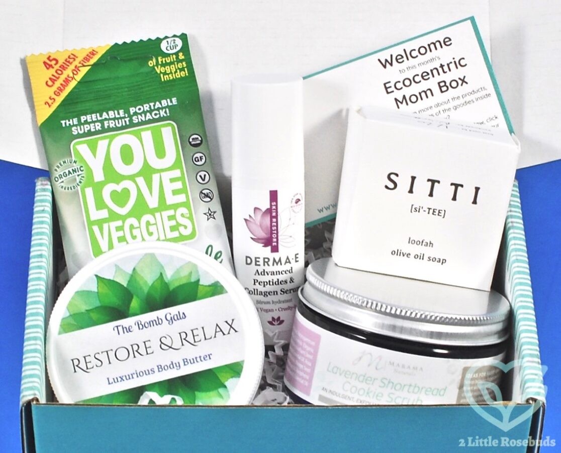 August 2018 Ecocentric Mom review