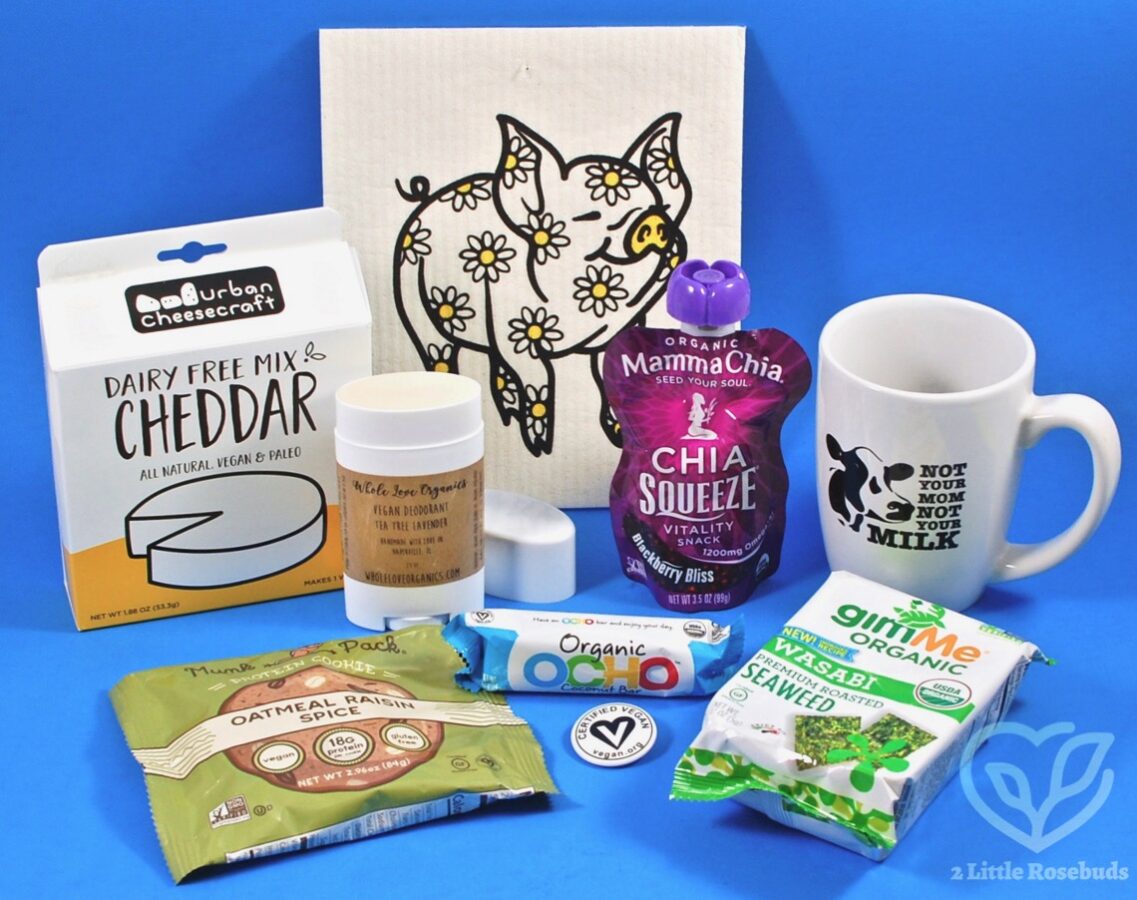 November 2018 All Around Vegan review