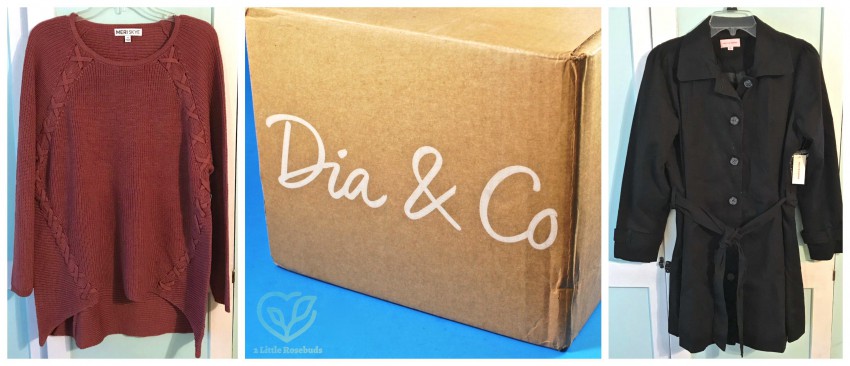Dia & Co review