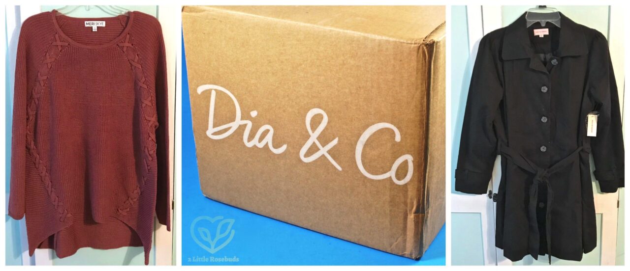 Dia & Co review