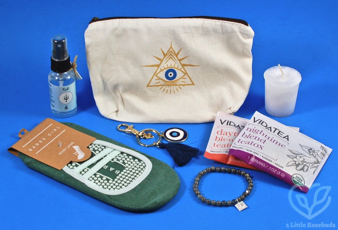 January 2019 BuddhiBox review