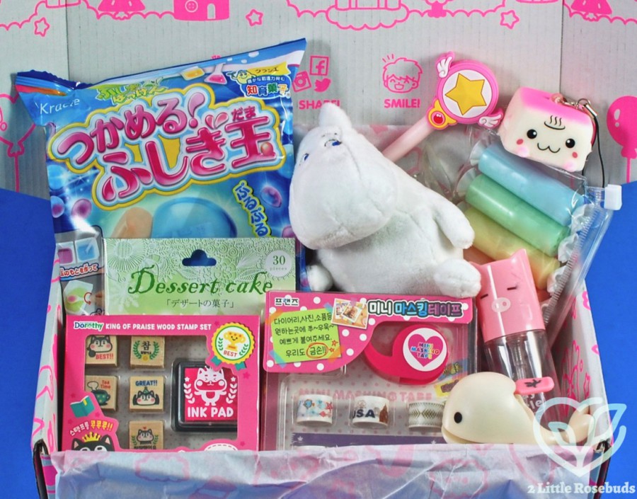 January 2019 Kawaii Box review