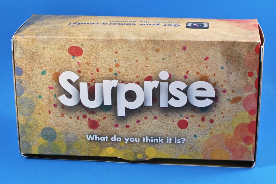 Walt Life Disney Surprise box