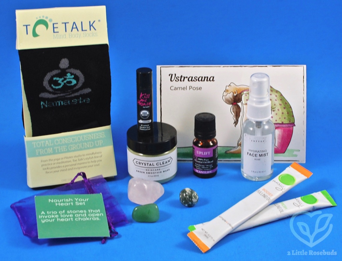 February 2019 BuddhiBox review