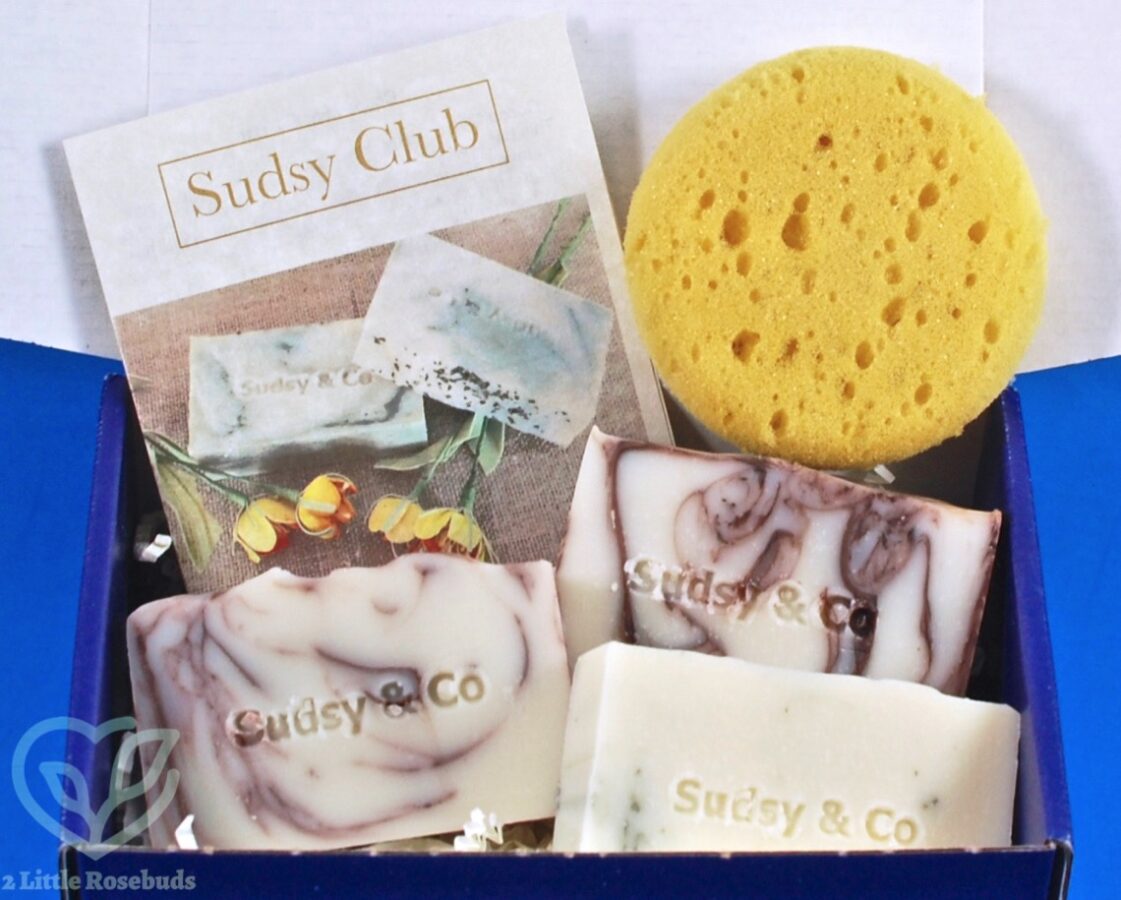 April 2019 Sudsy Club review