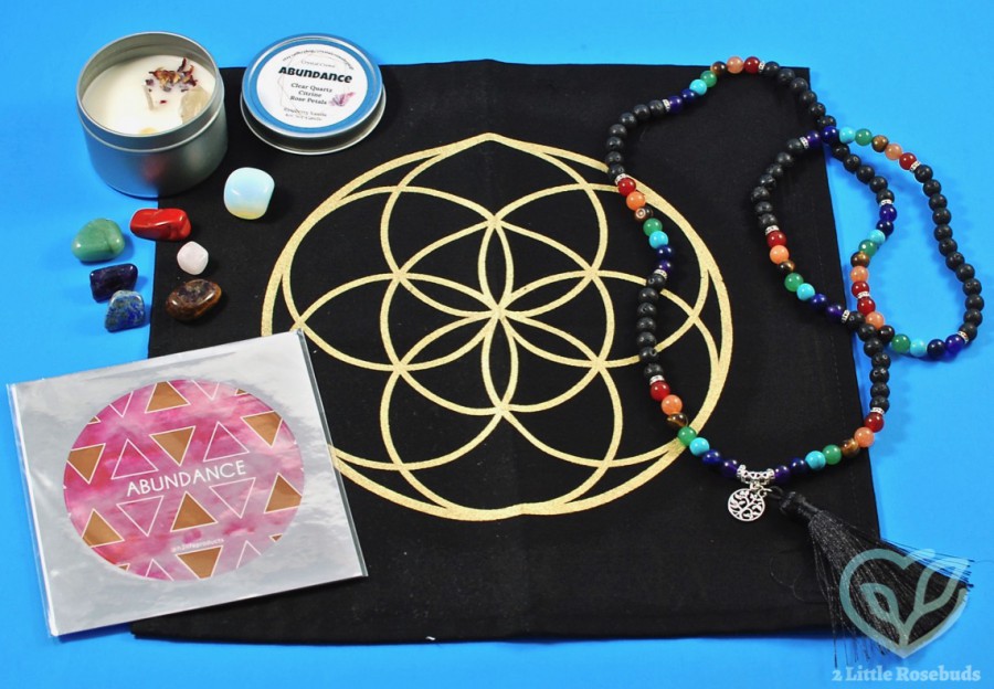 March 2019 BuddhiBox review