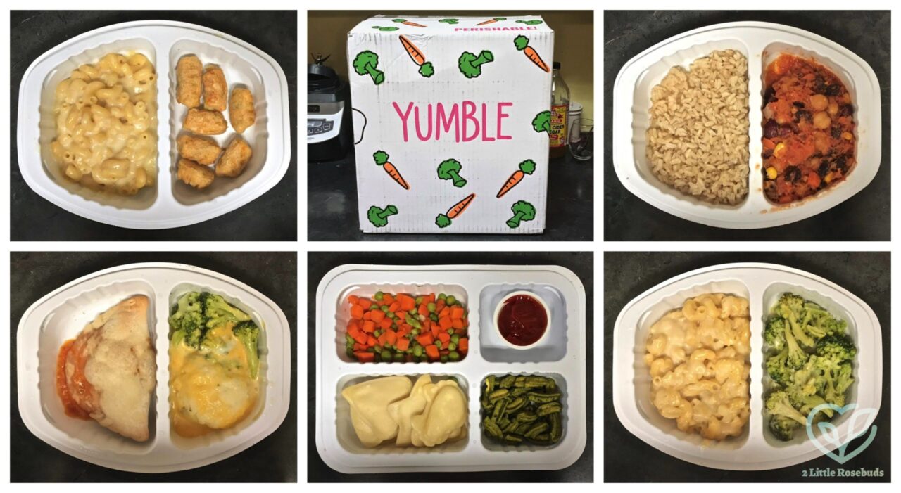 March 2019 Yumble Review