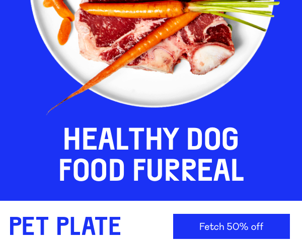 pet plate coupon