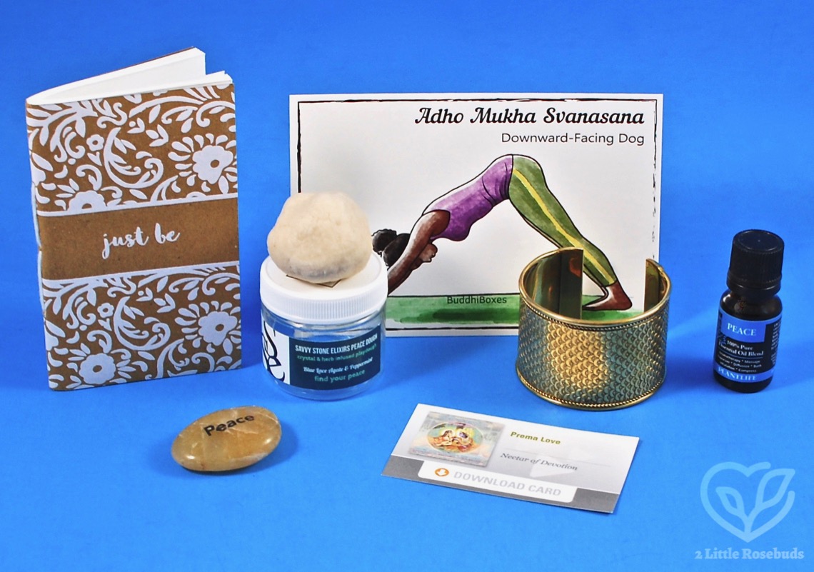 April 2019 BuddhiBox review