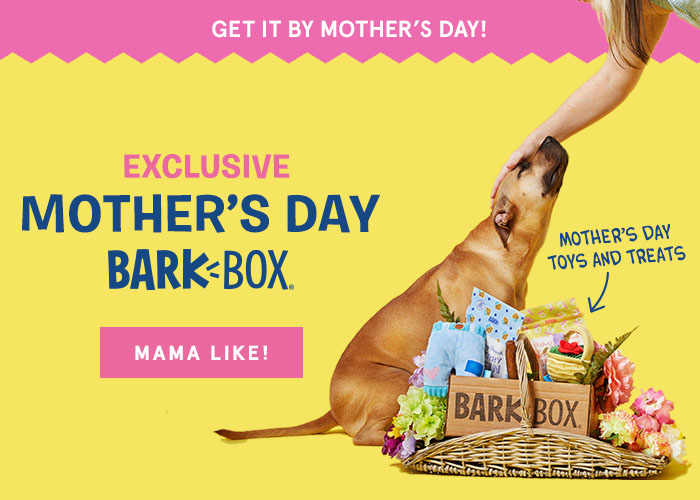BarkBox