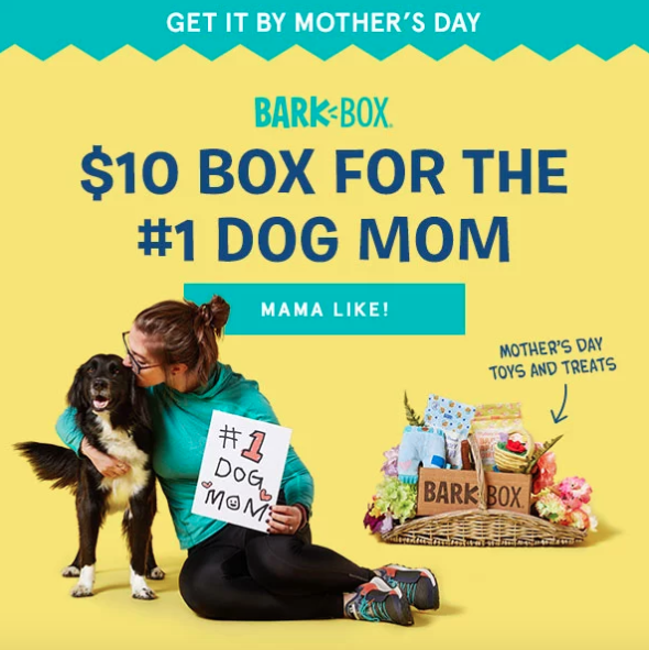 barkbox coupon