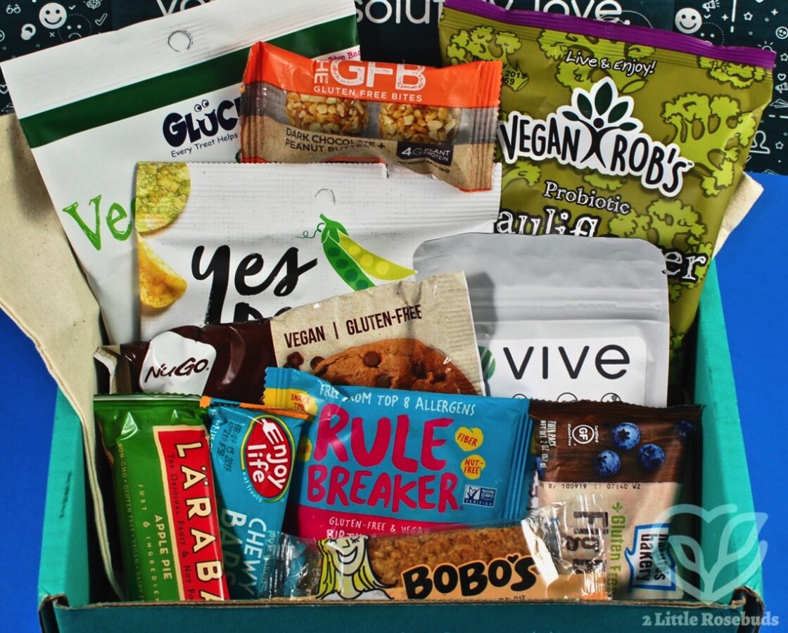 May 2019 vegan SnackSack review