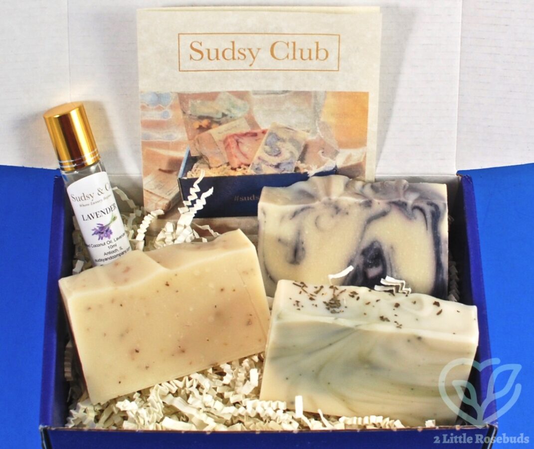 June 2019 Sudsy Club review