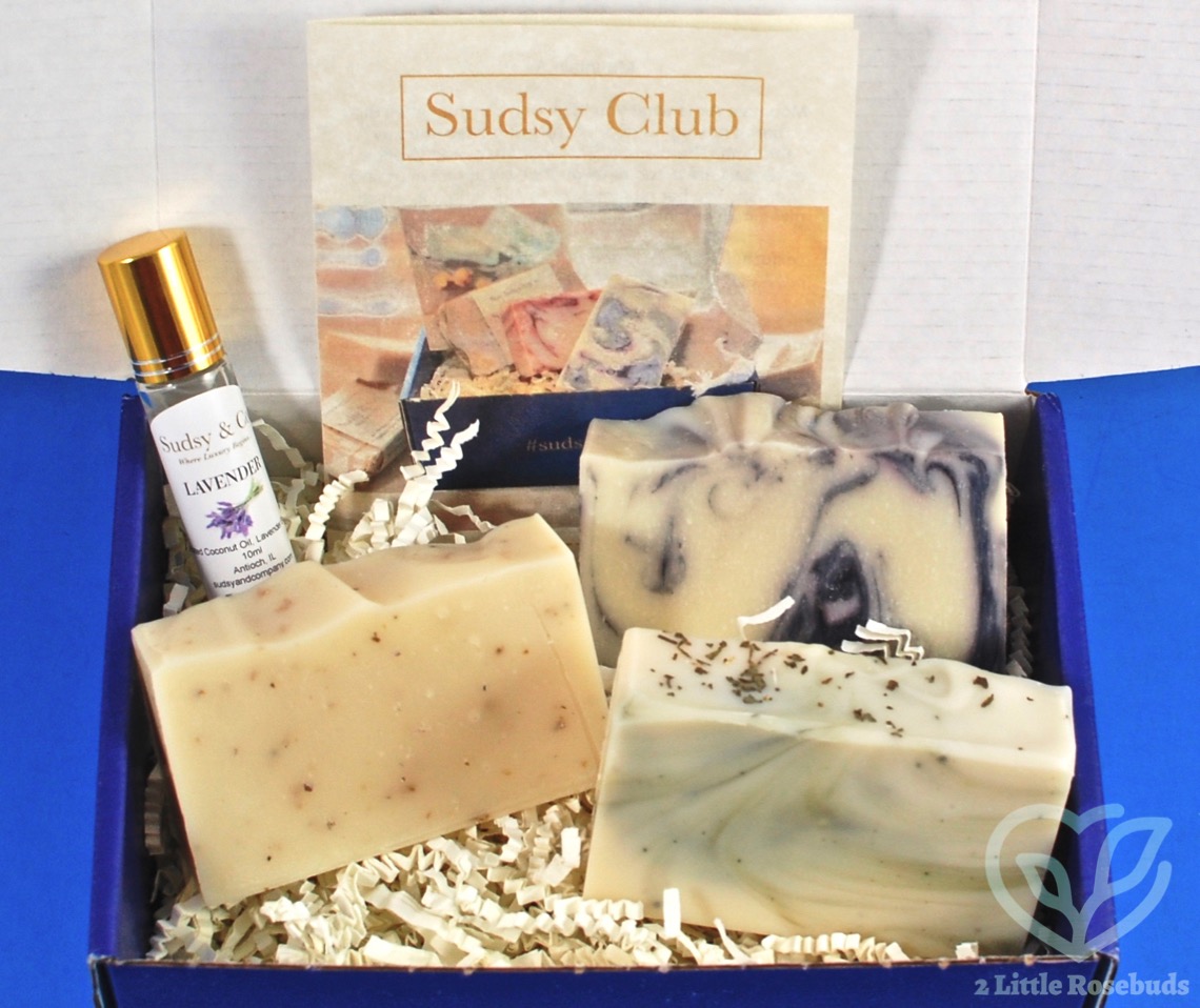 June 2019 Sudsy Club review