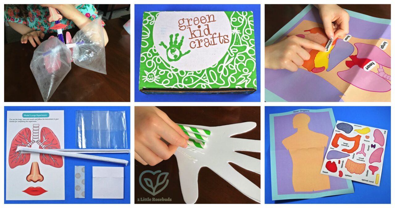 June 2019 Green Kid Crafts review